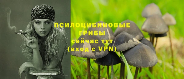 крисы Белоозёрский