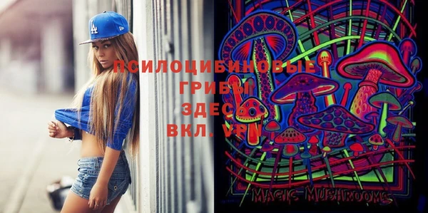 ешки Беломорск