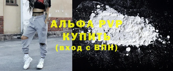 СК Белокуриха