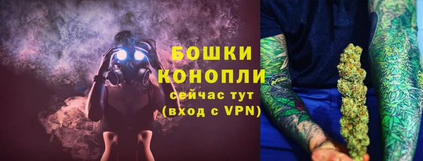 крисы Белоозёрский