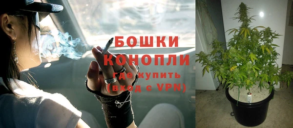 СК Белокуриха